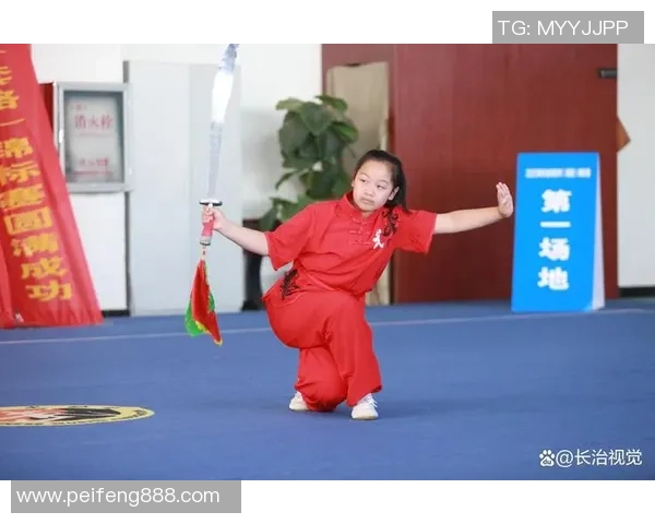 十五运会功夫套路竞赛闭幕